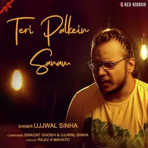 Teri Palkein Sanam image