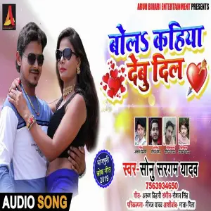 Bola Kahiya Debu Dil image