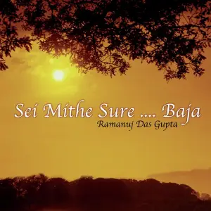 Sei Mithe Sure...Baja (Songs Of Kazi Nazrul Islam) image