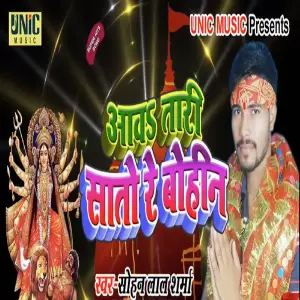 Aawa Tari Sato Re Bohin image