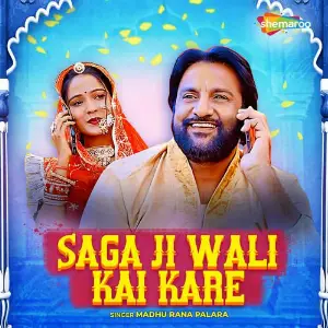 Saga Ji Wali Kai Kare image