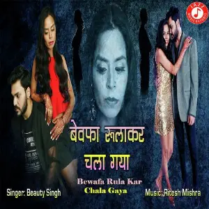 Bewafa Rula Kar Chala Gaya image