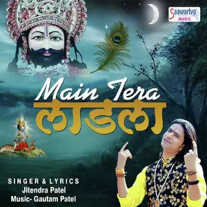Main Tera Laadla image
