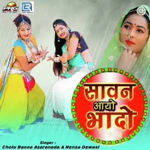 Sawan Aayo Bhado image