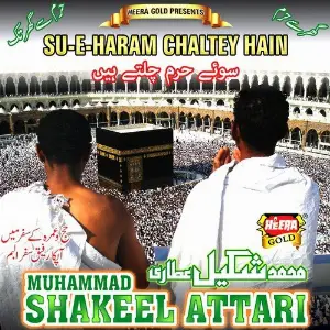 Su-e-Haram Chaltey Hain image