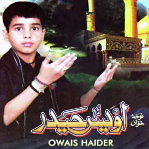 Owais Haider image