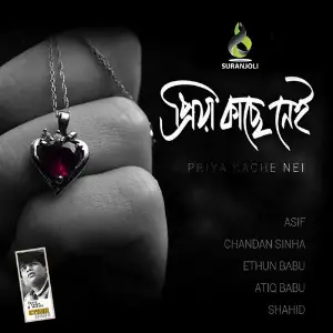 Priya Kache Nei image