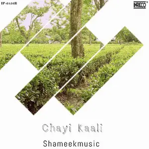 Chayi Kaali - Single image