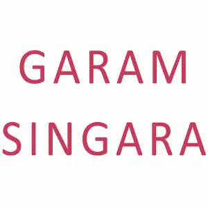 Garam Singara image