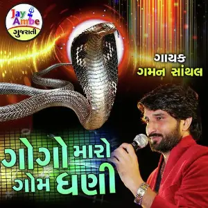 Gogo Maro Gom Dhani image