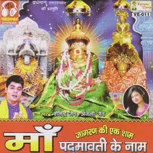 Maa Padmawati Ke Naam Jagran Ki Ek Sham image