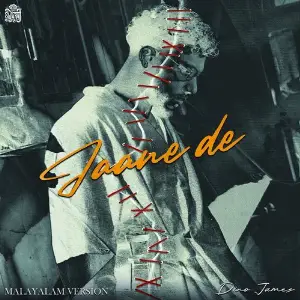 Jaane De (Malayalam) image