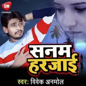Sanam Harjai(Sad Song) image