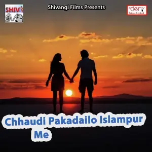 Chhaudi Pakadailo Islampur Me Various Artists