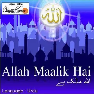 Allah Maalik Hai image