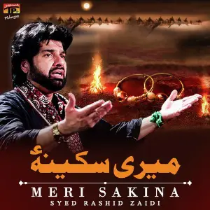Meri Sakina - Single image