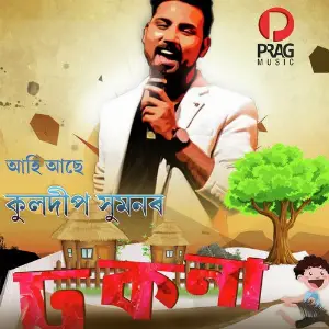 Dhokona image