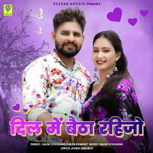 DIL MAIN BETHA RAHIJO image