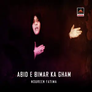 Abid e Bimar Ka Gham image