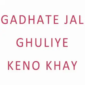 Gadhate Jal Ghuliye Keno Khay image