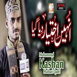 Unhe Ikhtiyar Diya Gaya Hai - Single image