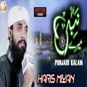 Punjabi Kalam - Single image