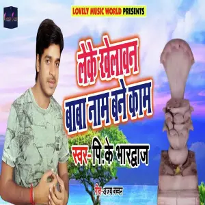 Leke Khelavan Baba Naam Bane Kaam image