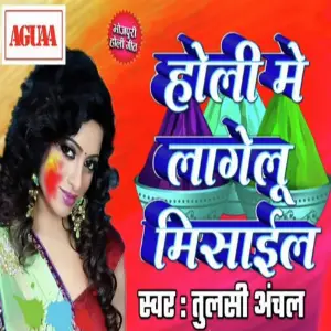 Holi Me Lagelu Misail image