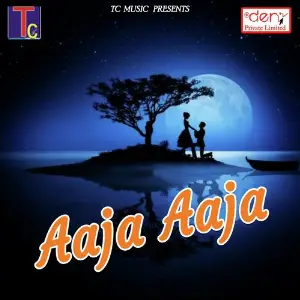 Aaja Aaja Various Artists