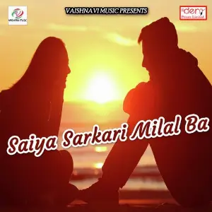 Saiya Sarkari Milal Ba image