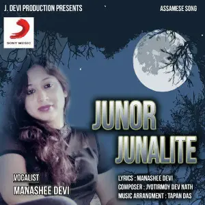 Junor Junalite - Single image