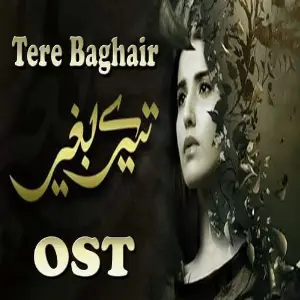 Tere Baghair (From Tere Baghair) image