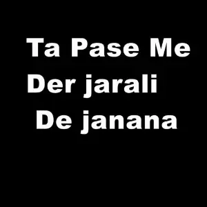 Ta pase me der jarali de janana image