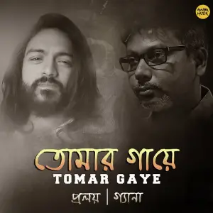 Tomar Gaye image