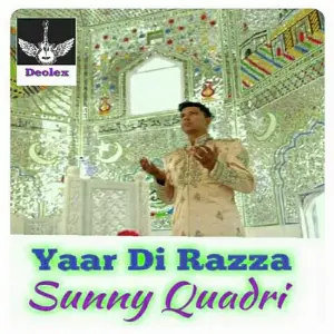 Sunny Qadri image