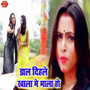 Dal Dihale Khala Me Bhala Ho image