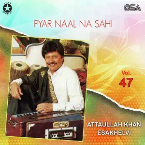 Pyar Naal Na Sahi, Vol. 47 image