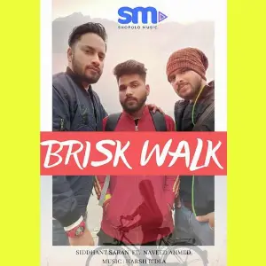 Brisk Walk image