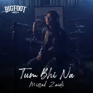 Tum Bhi Na - Single image