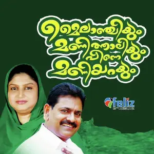 Mylanchiyum Manithaliyum Pinne Maniyarayum image