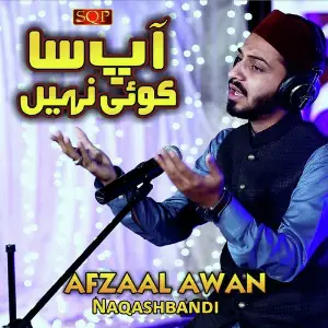 Zameen Asmaan Me Ap Sa Koi Nahi Hai image