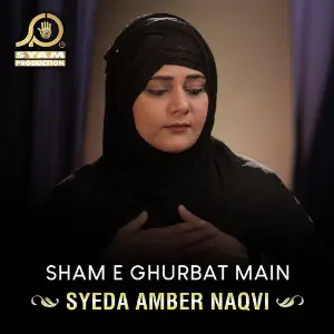 Sham E Ghurbat Main - Single image