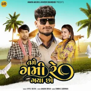 Tame Gami Re Gayo Cho image
