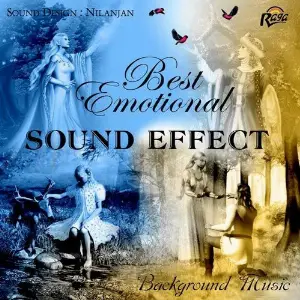 Best Emotional Sound Effect image