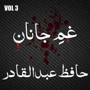 Hafiz Abdul Qadir - Ghame Janan, Vol. 3 image
