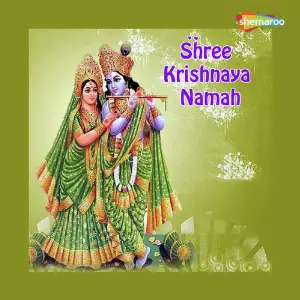 Shree Krishnaya Namah image