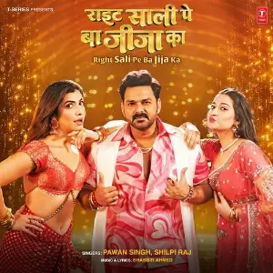 Right Sali Pe Ba Jija Ka image