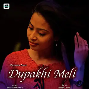 Dupakhi Meli image