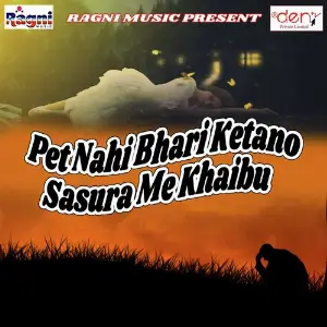 Pet Nahi Bhari Ketano Sasura Me Khaibu image