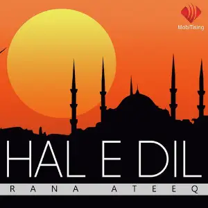 Hal E Dil image